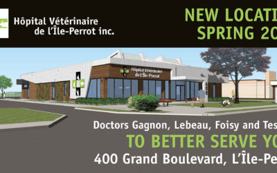 Hôpital Vétérinaire de L’Ile-Perrot will be moving soon !